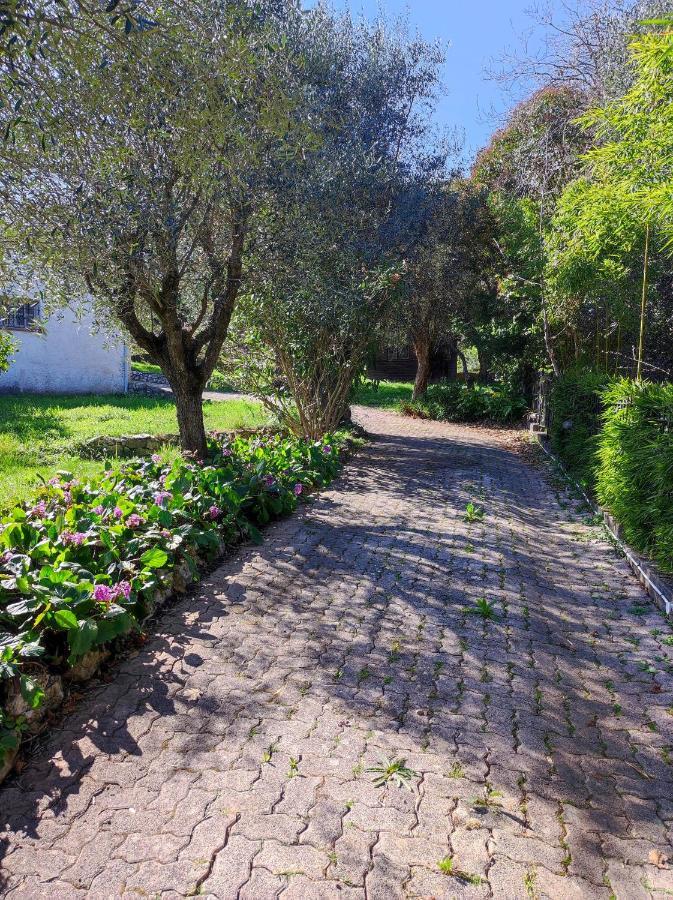 Villa Olivaie St Ange La Gaude Buitenkant foto
